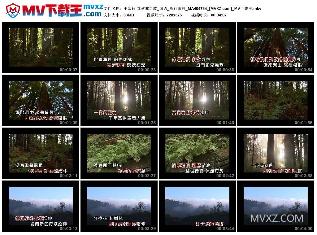 王宏伟-红树林之歌_国语_流行歌曲_MA404734